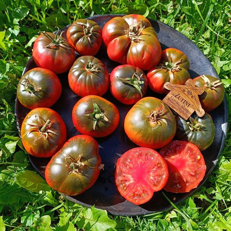 Black Bear (10 tomātu sēklas)